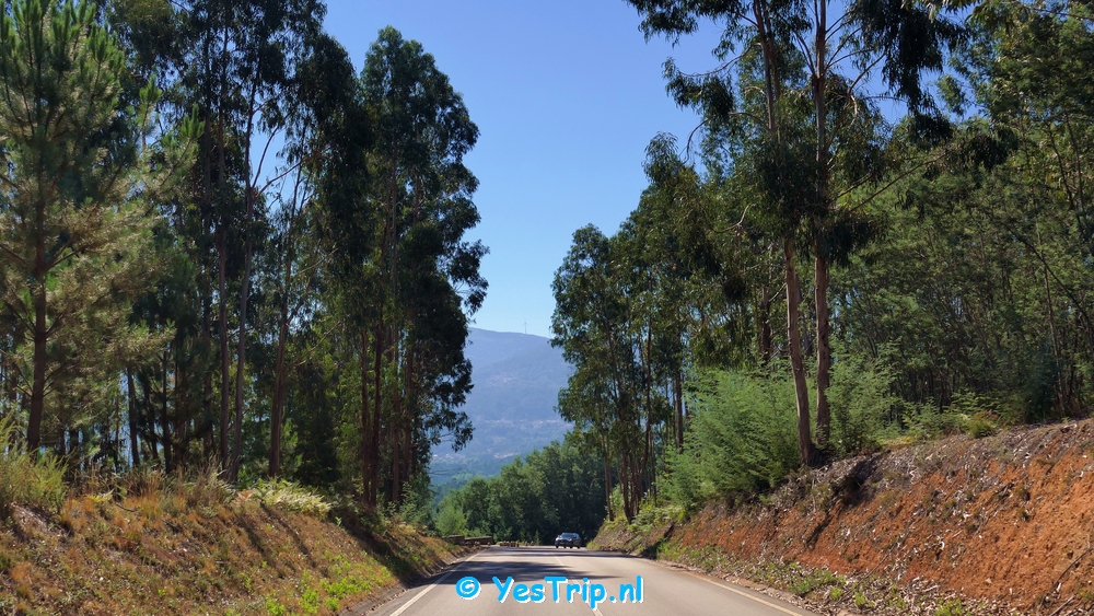 xxx From Senhor da Serra to Serpins